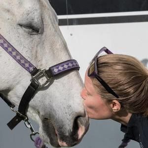 Meet your Posher, Laurel